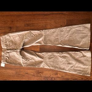 Free People flare cords